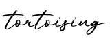 单词tortoising书写