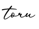 单词toru书写