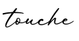 单词touche书写