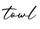 单词towl书写