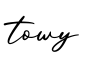 单词towy书写