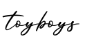 单词toyboys书写