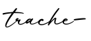 单词trache-书写