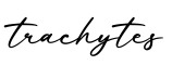 单词trachytes书写