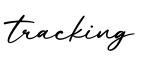 单词tracking书写