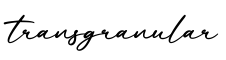 单词transgranular书写