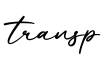 单词transp书写