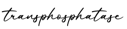 单词transphosphatase书写