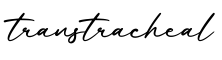单词transtracheal书写