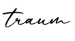 单词traum书写
