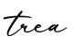 单词trea书写