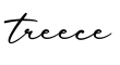 单词treece书写