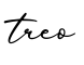 单词treo书写