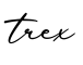 单词trex书写