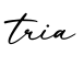 单词tria书写