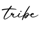 单词tribe书写