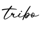 单词tribo书写