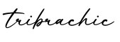 单词tribrachic书写