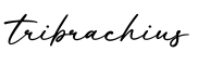 单词tribrachius书写
