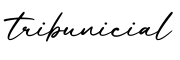单词tribunicial书写