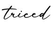 单词triced书写
