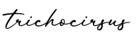 单词trichocirsus书写