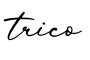 单词trico书写