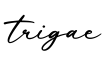 单词trigae书写