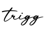 单词trigg书写