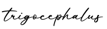 单词trigocephalus书写