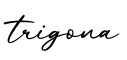 单词trigona书写