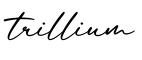 单词trillium书写