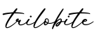 单词trilobite书写