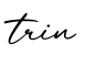 单词trin书写