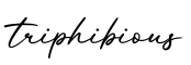 单词triphibious书写