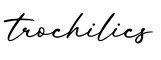 单词trochilics书写