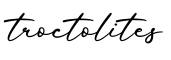 单词troctolites书写