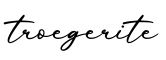 单词troegerite书写