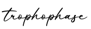 单词trophophase书写