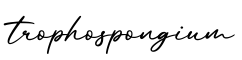 单词trophospongium书写