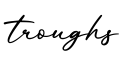 单词troughs书写