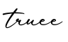单词truee书写