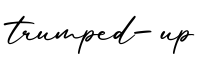 单词trumped-up书写