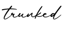 单词trunked书写