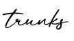 单词trunks书写