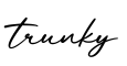 单词trunky书写
