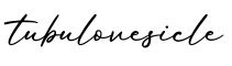 单词tubulovesicle书写