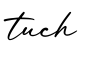单词tuch书写