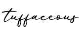 单词tuffaceous书写