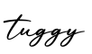 单词tuggy书写